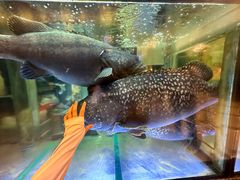 -金翠皇宫粤菜·点心·海鲜(科技园店)