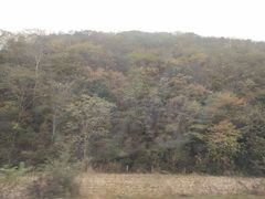 -参仙谷生态旅游度假区