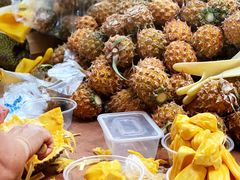 菠萝蜜-三亚新鸿港水果一级批发市场