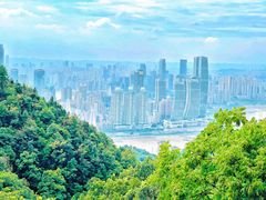 -南山植物园