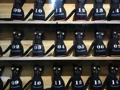 -猫咪博物馆(顶澳仔猫街店)