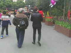 -金鸡山公园