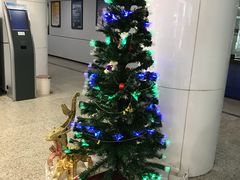 -中国建设银行(成都双林支行)