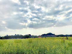 -光明小镇欢乐田园