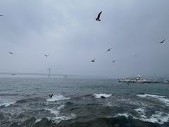 -星海广场