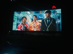 -枫花园汽车电影院(朝阳公园店)