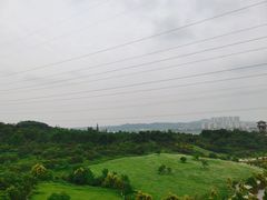 -张坝桂圆林公园