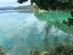 -广州市流溪河国家森林公园