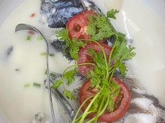 -全乐鱼馆·淳牌有机鱼直营店