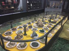 -游龙石文化科普馆