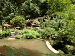 -洪盛堂(净居寺南街店)