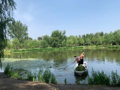 -东郊湿地公园