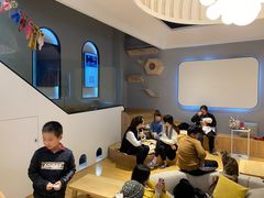 -啵啵喵·猫咖(攀华国际店)
