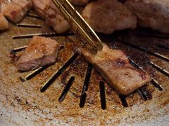 -闻老头·菊花炭烤肉(佛山首店)