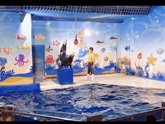 -太平洋海底世界