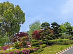 -上海皇廷花园酒店·西餐厅·自助餐