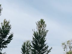 -野鸭湖国家湿地公园