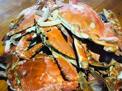 -胖大嫂渔家排档·全海景餐厅(渔村店)