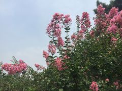 钓鱼台国宾馆-钓鱼台国宾馆