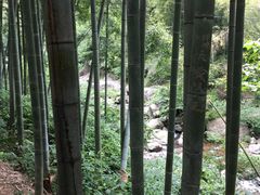 -山沟沟景区