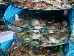-蓝珊甄选海鲜自助·火锅大排档(近阿那亚店)