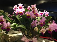 -北京植物园-展览温室