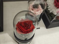 -ROSEONLY诺誓(沈阳万象城店)