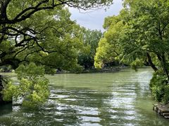 -西溪国家湿地公园