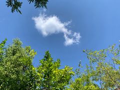 -深业半汤御泉庄温泉