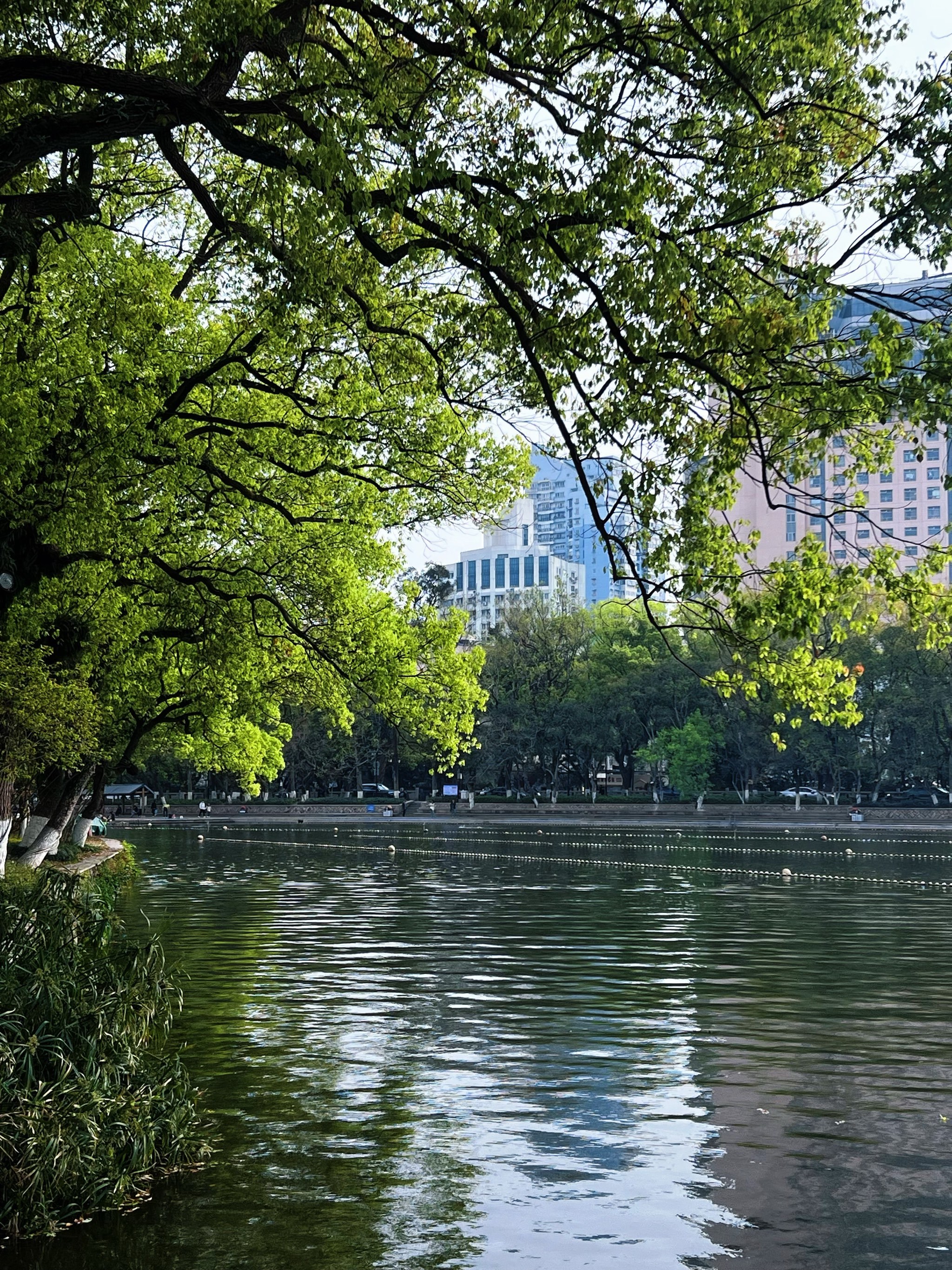 去了还会去的九山公园温州city walk👍