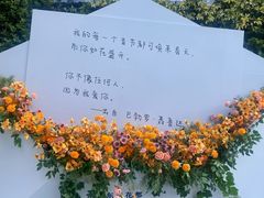 -东南花都花博园
