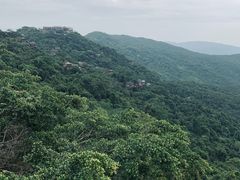 -亚龙湾热带天堂森林公园