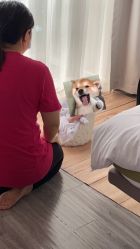 -佳宝全套房精品月子会所(大华店)