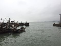 -日照世帆赛基地