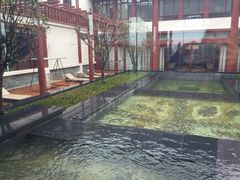 -骏途旅游