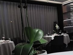 -蘇锦宴·淮扬菜烤鸭·小院(三元桥霄云路店)