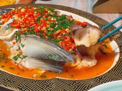 -桃鲤·风味民间家宴淳鱼馆(千岛湖店)