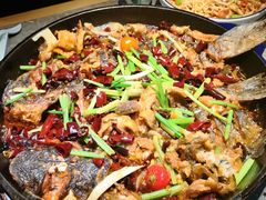 -老板恋上鱼(恒隆广场店)