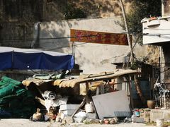 -章记正宗南岗鱼蛋火锅