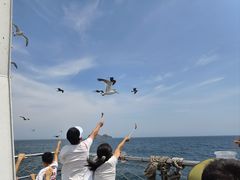 -海驴岛(荣成市)