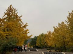 -晋祠公园