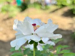 -江南大学-第一食堂(江南苑)