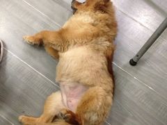 iphone_upload_pic-A+摄影