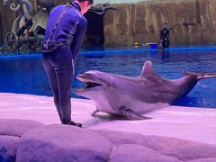 -华夏文旅海洋公园