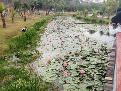 -东莞植物园