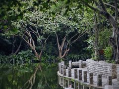 -人民公园(罗湖区)