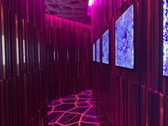 -OZONE 顶楼酒吧(香港丽思卡尔顿酒店)