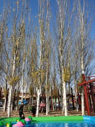 -大望京儿童游乐场
