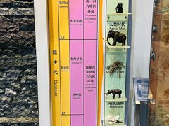 -房山世界地质公园博物馆