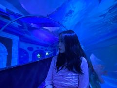 -成都浩海立方海洋公园